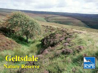 Geltsdale Nature Reserve