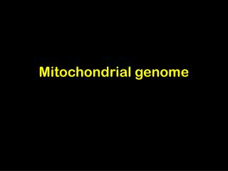 Mitochondrial genome