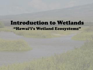 Introduction to Wetlands “Hawai’i’s Wetland Ecosystems”