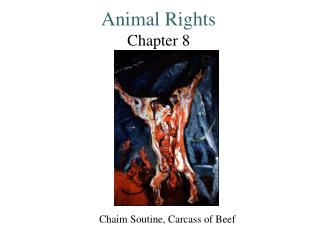 Animal Rights Chapter 8