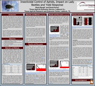 Insecticidal Control of Aphids, Impact on Lady Beetles and Yield Response