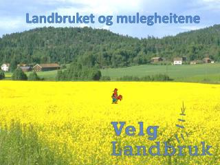 Landbruket og mulegheitene
