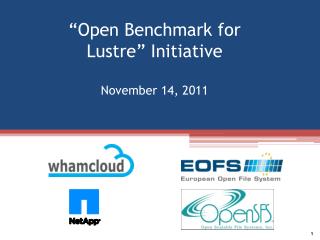 “Open Benchmark for Lustre ” Initiative November 14, 2011