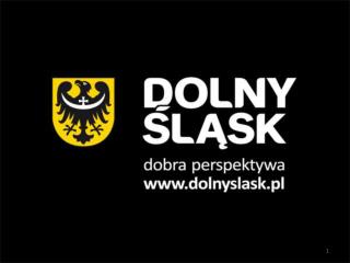 REGIONALNY PROGRAM OPERACYJNY DLA WOJEWÓDZTWA DOLNOŚLĄSKIEGO NA LATA 2007-2013