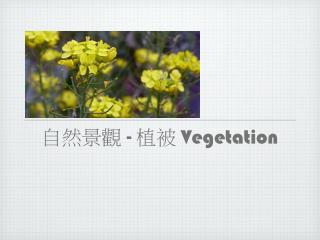 自然景觀 - 植被 Vegetation