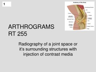 ARTHROGRAMS RT 255