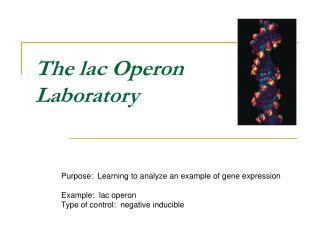 The lac Operon Laboratory