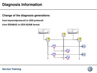 Diagnosis Information
