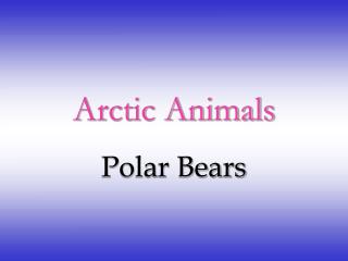 Arctic Animals