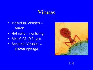 Viruses