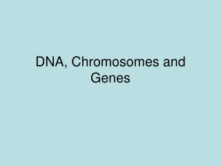 DNA, Chromosomes and Genes
