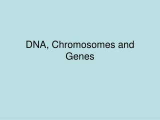 DNA, Chromosomes and Genes