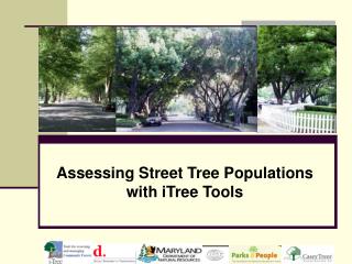 Assessing Street Tree Populations with iTree Tools