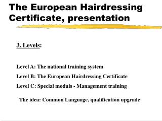 The European Hairdressing Certificate, presentation