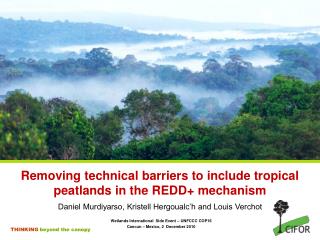 Removing technical barriers to include tropical peatlands in the REDD+ mechanism