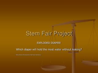 Stem Fair Project