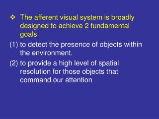The afferent visual system is broadly designed to achieve 2 fundamental goals :
