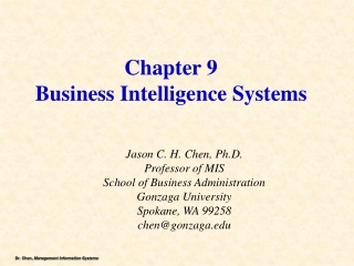 Chapter 9 Business Intelligence Systems