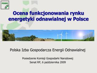 Ocena funkcjonowania rynku energetyki odnawialnej w Polsce