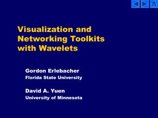 Visualization and Networking Toolkits with Wavelets