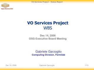 VO Services Project WBS