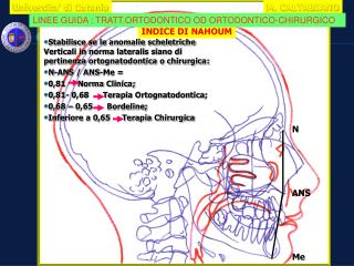 INDICE DI NAHOUM