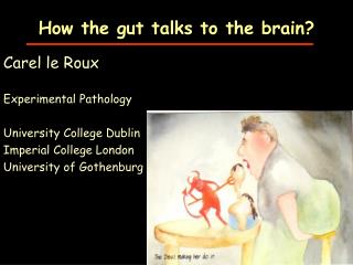 How the gut talks to the brain?