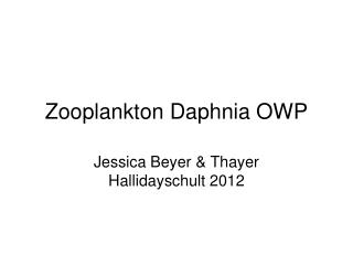 Zooplankton Daphnia OWP