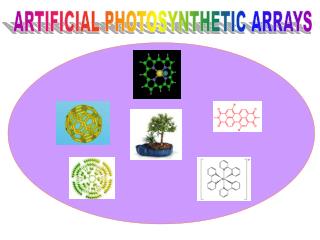 ARTIFICIAL PHOTOSYNTHETIC ARRAYS