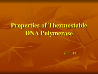 Properties of Thermostable DNA Polymerase