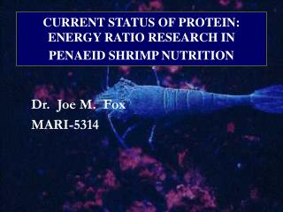 CURRENT STATUS OF PROTEIN: ENERGY RATIO RESEARCH IN PENAEID SHRIMP NUTRITION