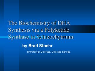 The Biochemistry of DHA Synthesis via a Polyketide Synthase in Schizochytrium