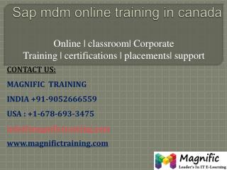 sap mdm online training in canada,pune