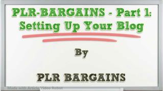 ppt 37991 PLR BARGAINS Part 1 Setting Up Your Blog