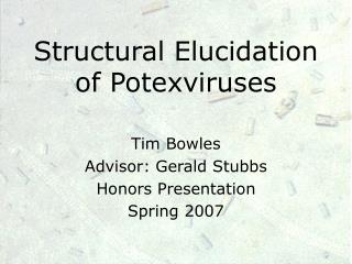 Structural Elucidation of Potexviruses