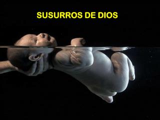 SUSURROS DE DIOS