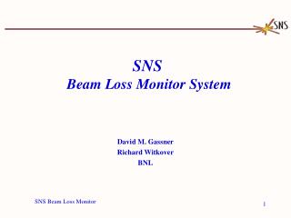 SNS Beam Loss Monitor System