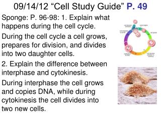 09/14/12 “Cell Study Guide” P. 49