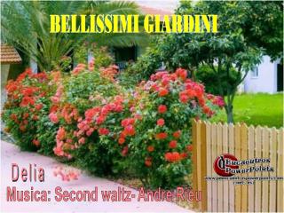 BELLISSIMI GIARDINI