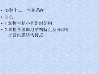 实验十二 生殖系统 目的 : 1 掌握生精小管组织结构 2. 掌握各级卵泡结构特点及分泌期 子宫内膜结构特点