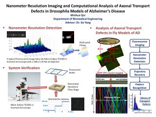 Nanometer Resolution Detection