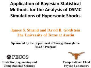 James S. Strand and David B. Goldstein The University of Texas at Austin