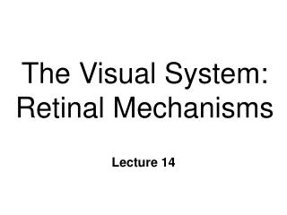 The Visual System: Retinal Mechanisms