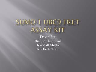 SUMO-1 UBC9 FRET Assay Kit