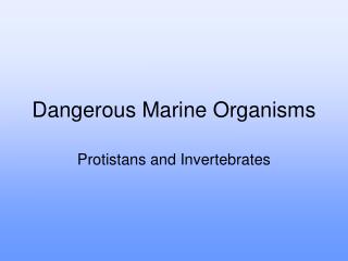 Dangerous Marine Organisms