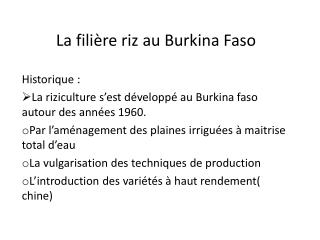 La filière riz au Burkina Faso
