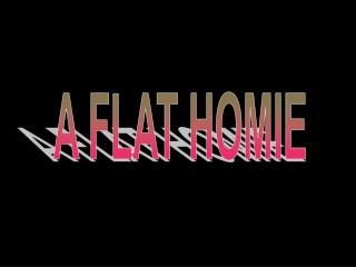 A FLAT HOMIE