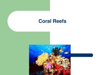 Coral Reefs