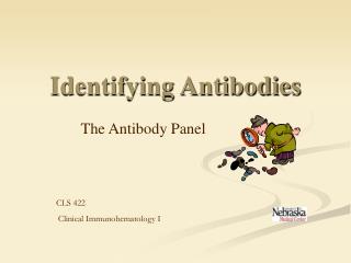 Identifying Antibodies