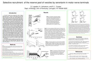 Selective recruitment of the reserve pool of vesicles by serontonin in motor nerve terminals